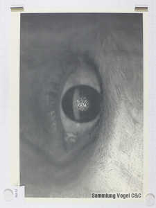 1090393
